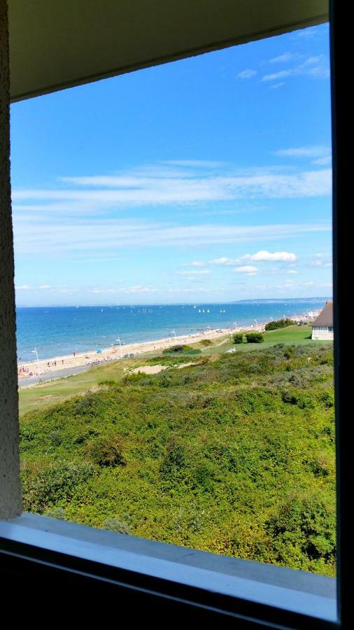 Magnifique Vue Et Foret *